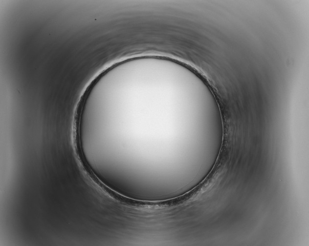 X0000094171518200711091115