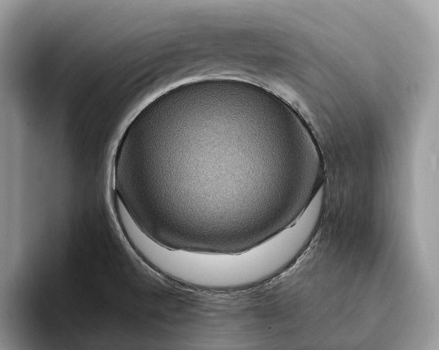 X0000094171520200711091115
