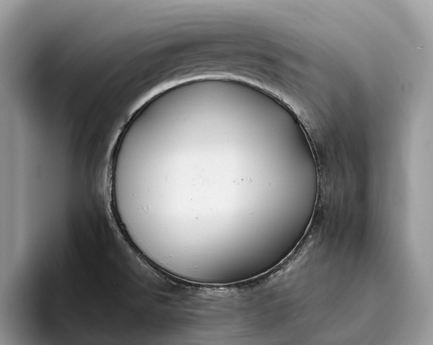 X0000094171526200711091115