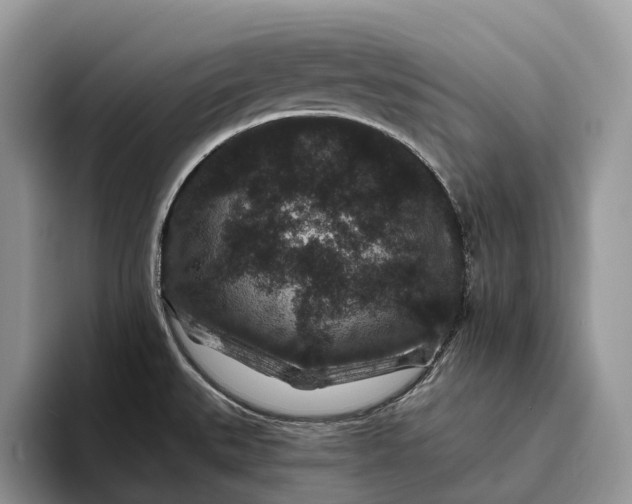 X0000094171527200711091115