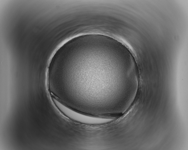 X0000094171528200711091115