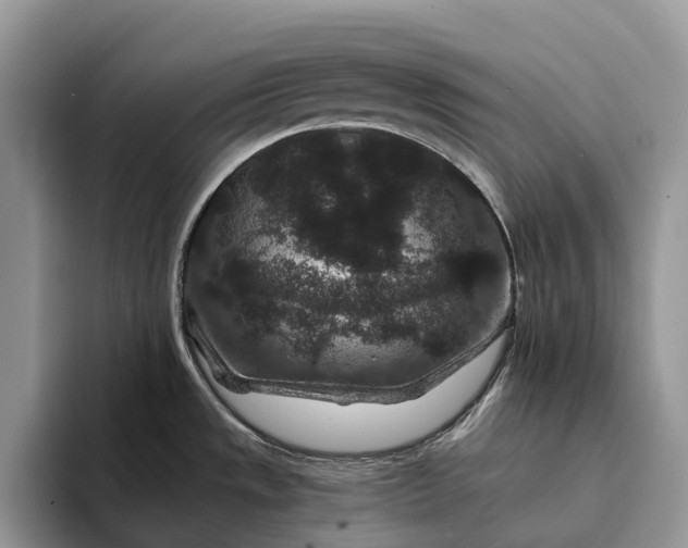 X0000094171533200711091115