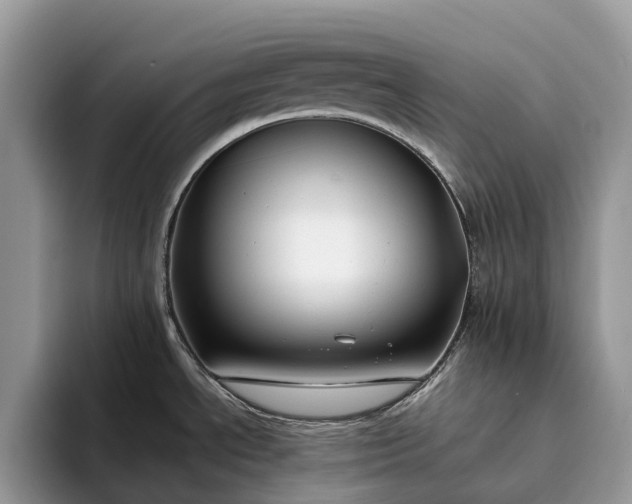 X0000094171534200711091115