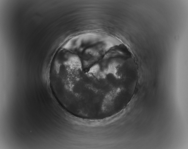 X0000094170002200711161717