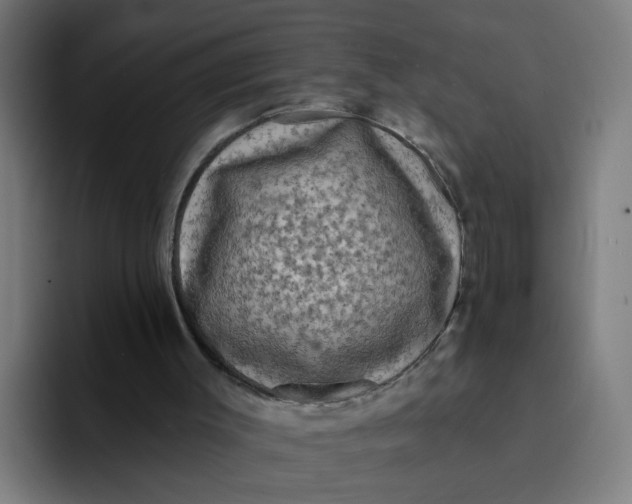 X0000094170003200711161717