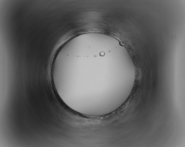 X0000094170004200711161717