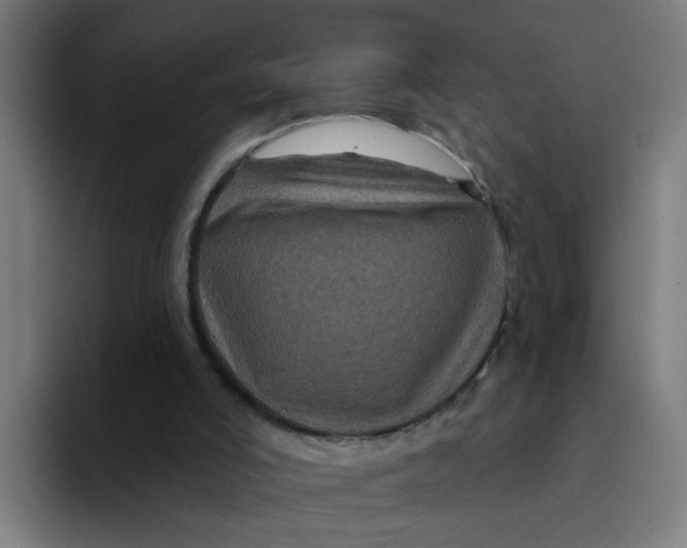 X0000094170006200711161717