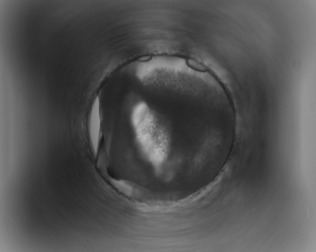 X0000094170009200711161717