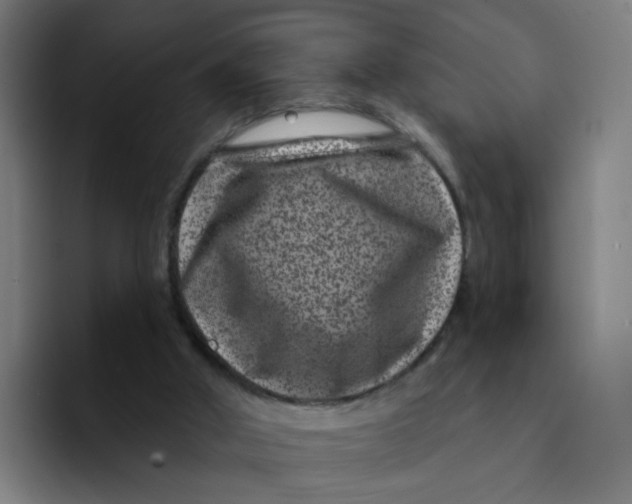 X0000094170010200711161717