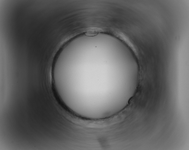 X0000094170011200711161717