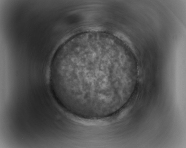 X0000094170012200711161717