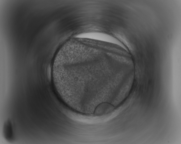 X0000094170014200711161717