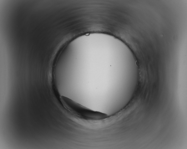 X0000094170015200711161717