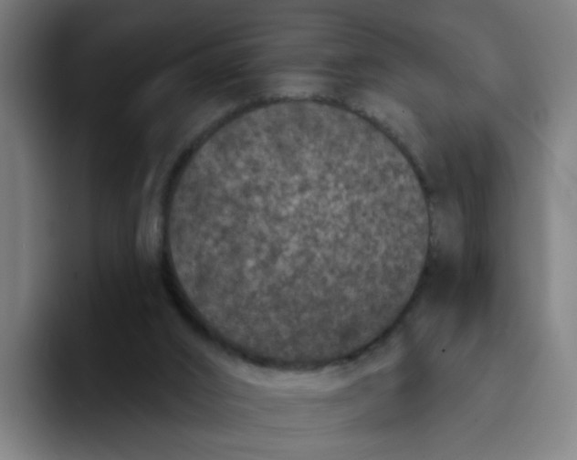 X0000094170016200711161717