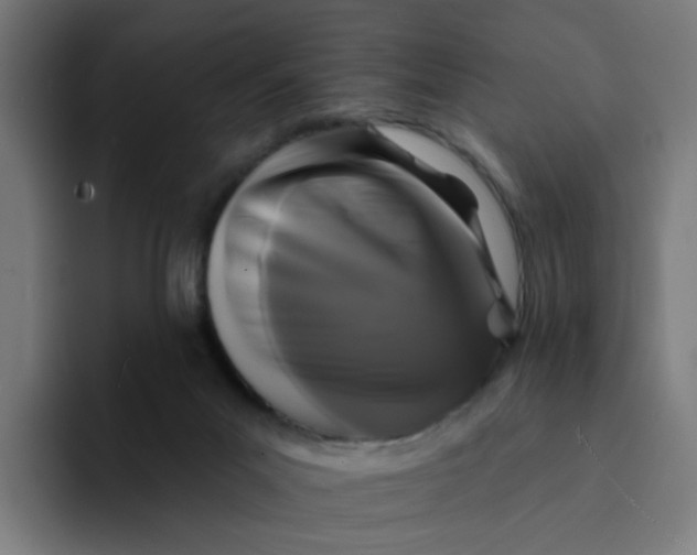 X0000094170023200711161717