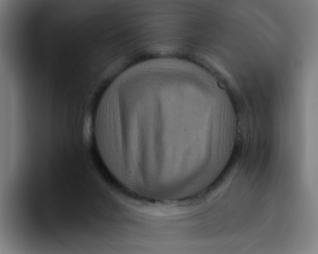 X0000094170024200711161717