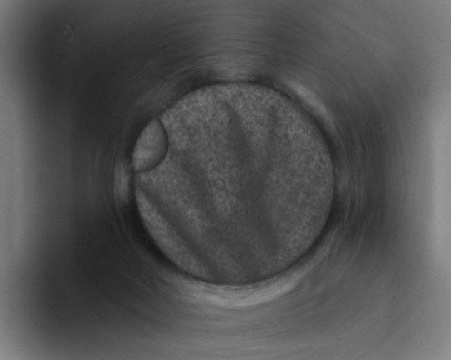 X0000094170026200711161717