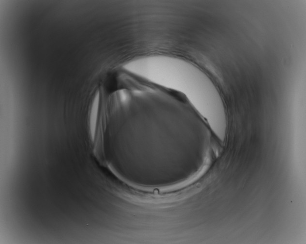 X0000094170027200711161717