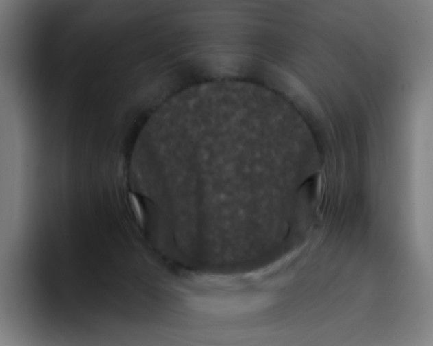 X0000094170029200711161717