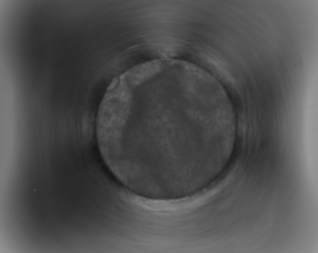 X0000094170030200711161717