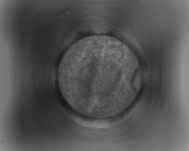 X0000094170032200711161717