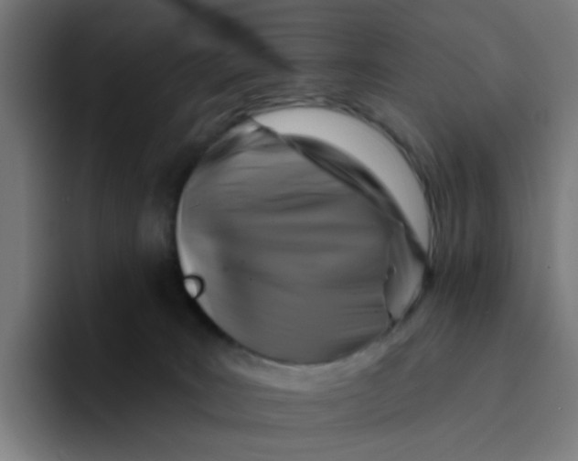 X0000094170035200711161717