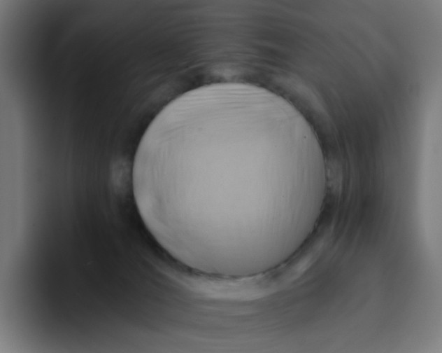 X0000094170036200711161717