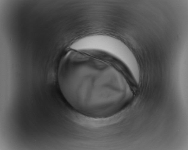 X0000094170039200711161717