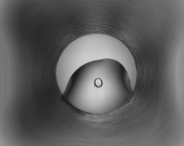 X0000094170041200711161717