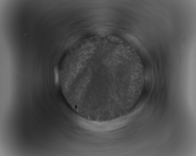 X0000094170046200711161716