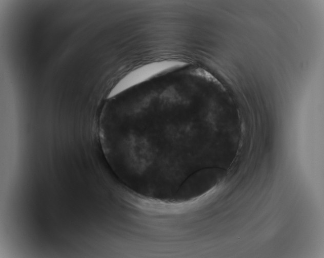 X0000094170048200711161716