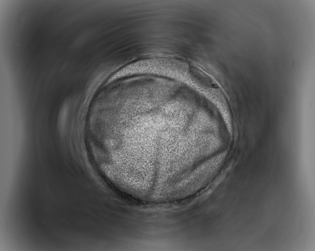 X0000094170049200711161716