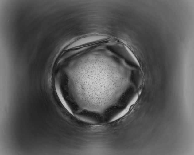 X0000094170050200711161716