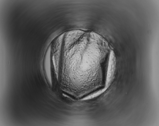 X0000094170051200711161716