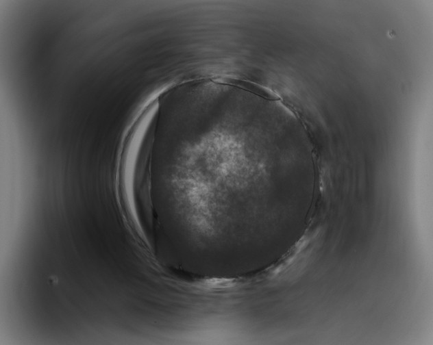 X0000094170052200711161716