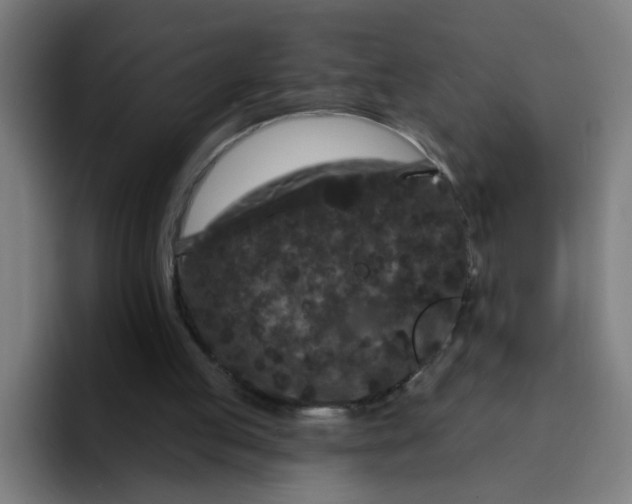 X0000094170053200711161716