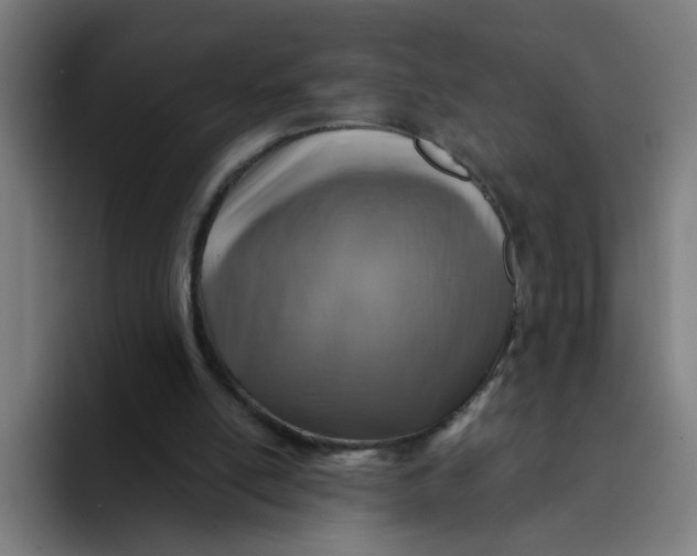 X0000094170054200711161716