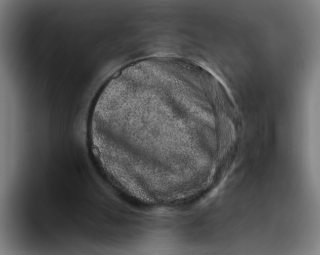 X0000094170055200711161716