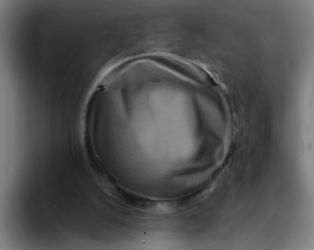 X0000094170056200711161716