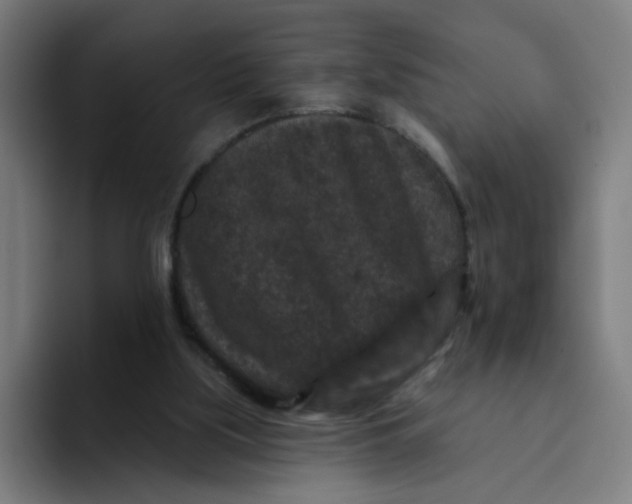 X0000094170059200711161716