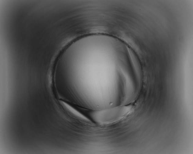 X0000094170060200711161716