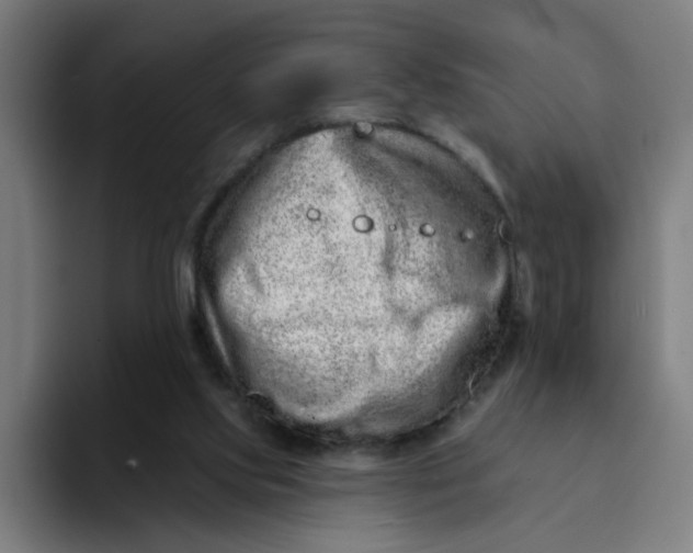 X0000094170061200711161716