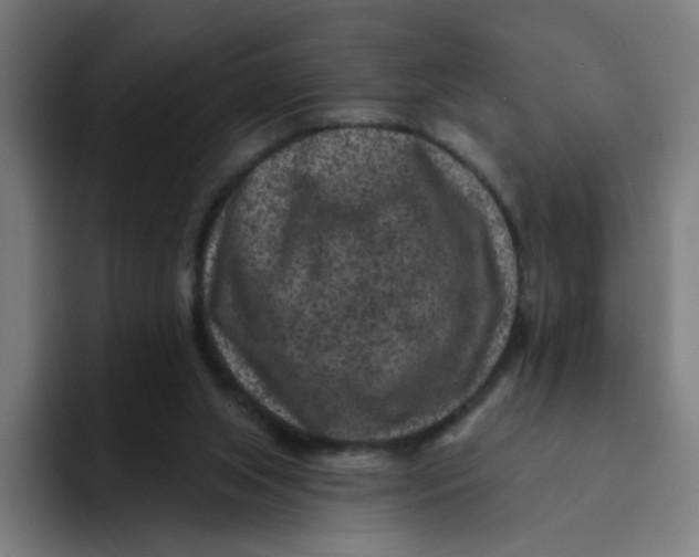 X0000094170063200711161716