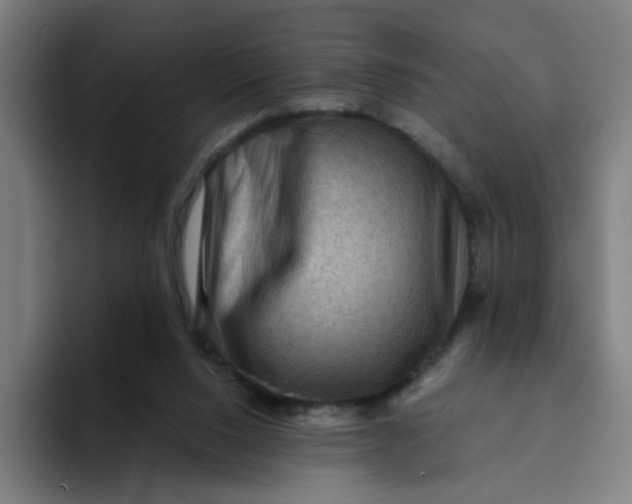 X0000094170064200711161716