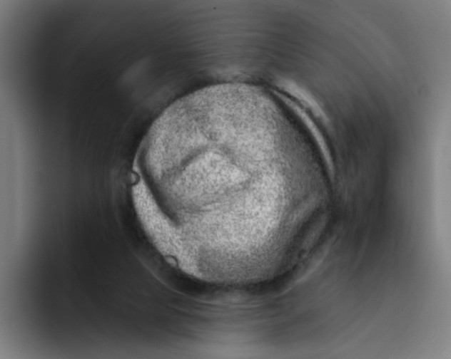 X0000094170065200711161716