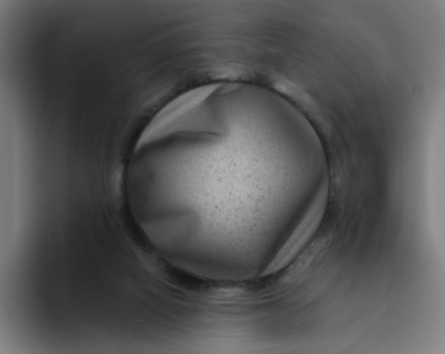 X0000094170066200711161716