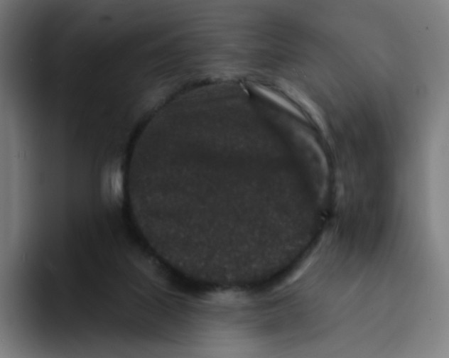 X0000094170067200711161716