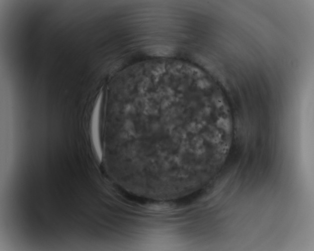 X0000094170069200711161716