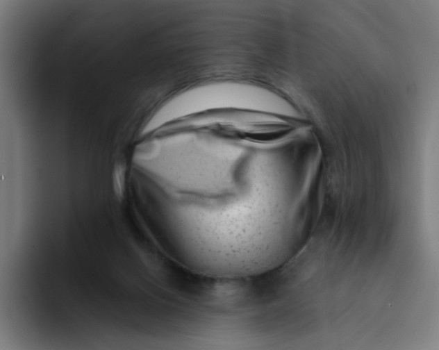 X0000094170070200711161716