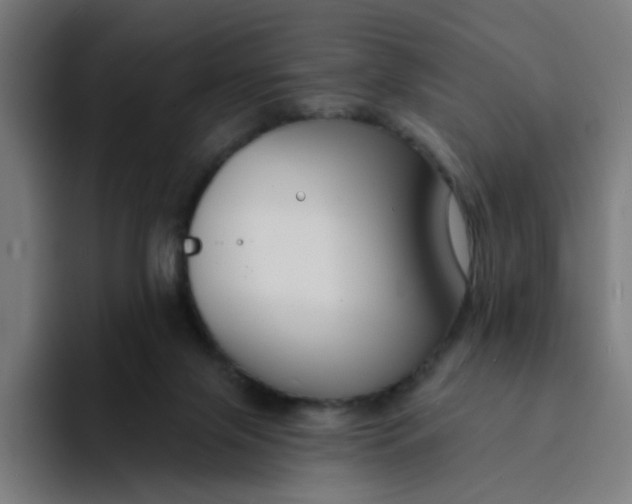 X0000094170071200711161716